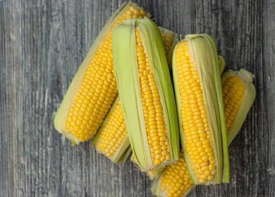 Как и чем подкормить кукурузу