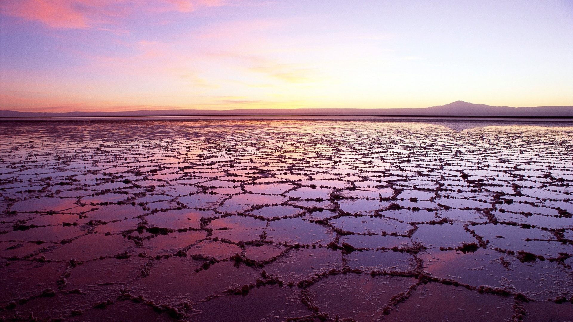Salt Lake Potash планирует первые поставки в 2021 году
