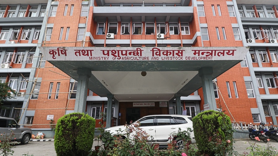 Непалу предложили построить завод удобрений