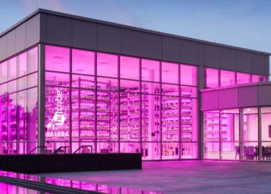 Kalera завоевывает американский рынок