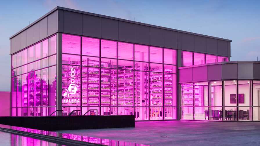 Kalera завоевывает американский рынок