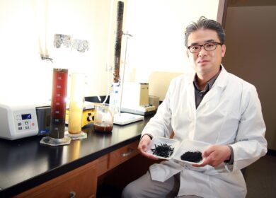 Биоуголь предотвратит загрязнение водоемов