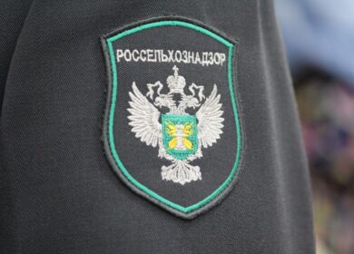 «Русь» оштрафовали за старание