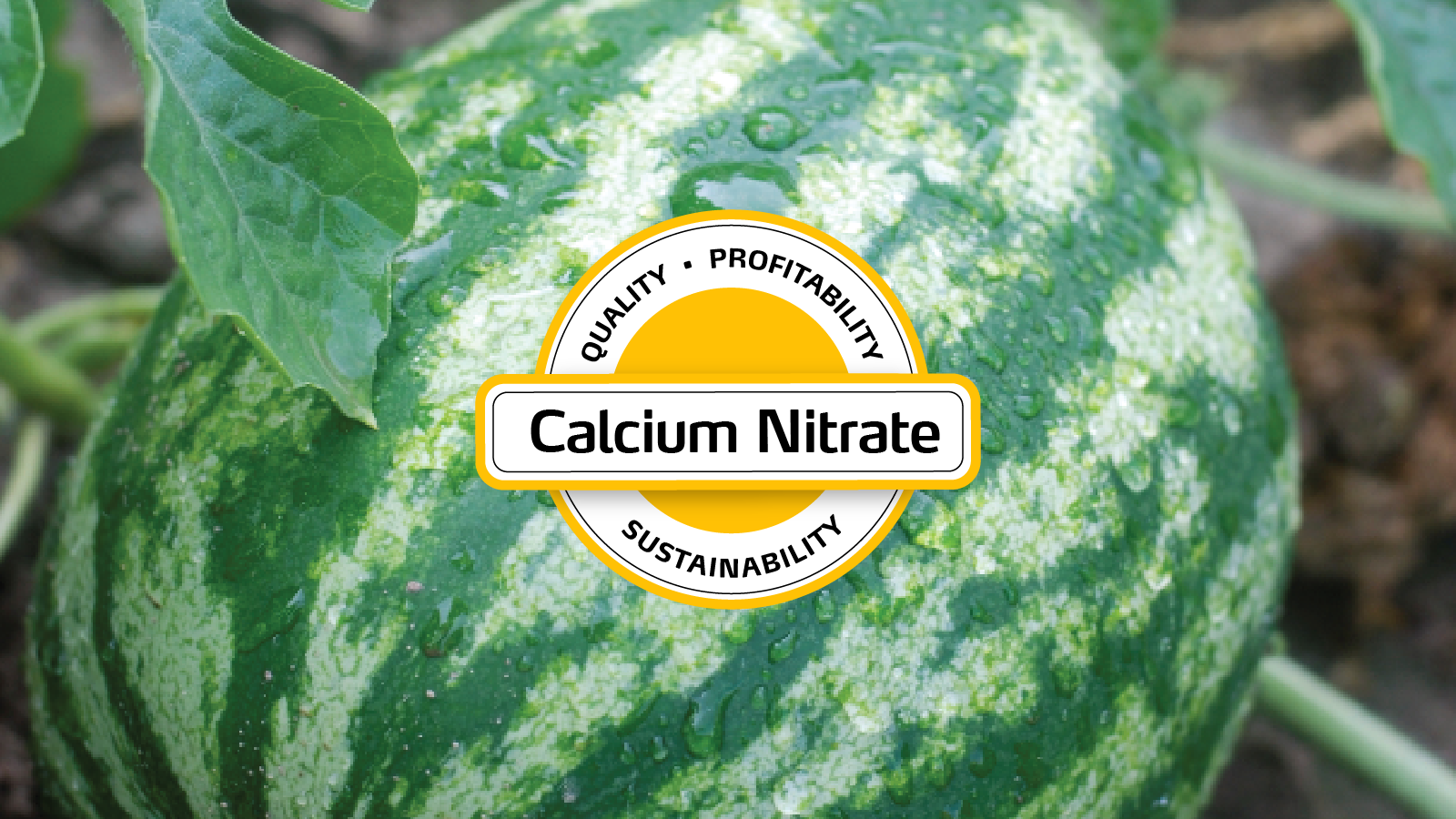 GSFC запустила производство кальциевой селитры