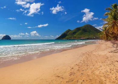 Французские Карибы оказались отравлены пестицидом