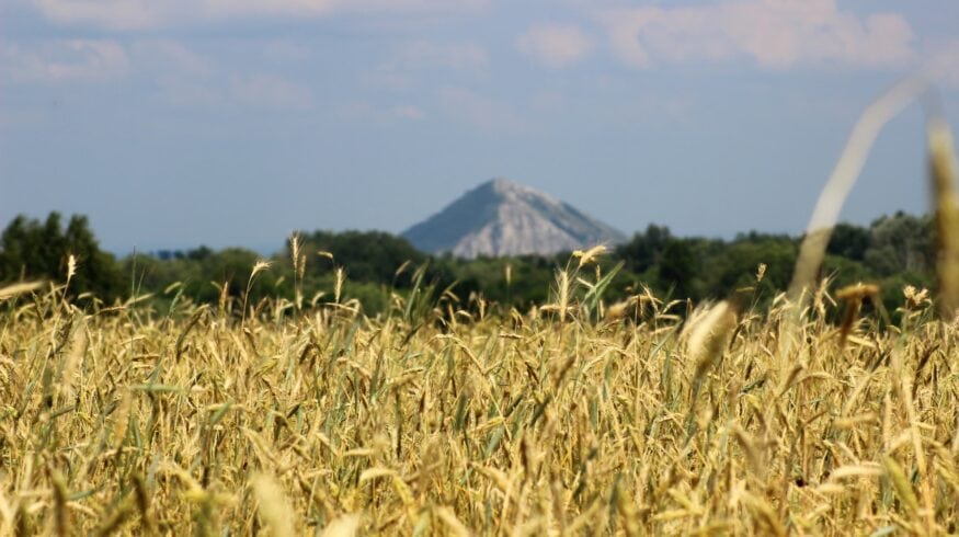 В Башкортостане поставлен рекорд по внесению агрохимикатов