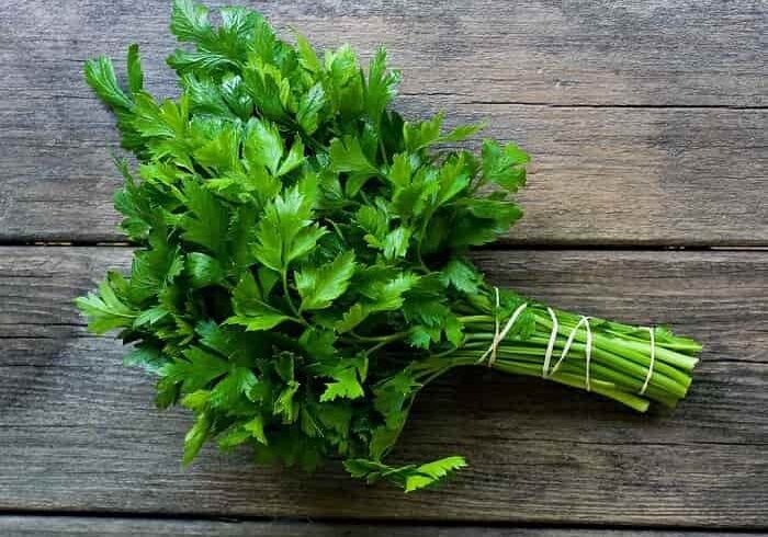 Когда и чем подкормить петрушку для роста