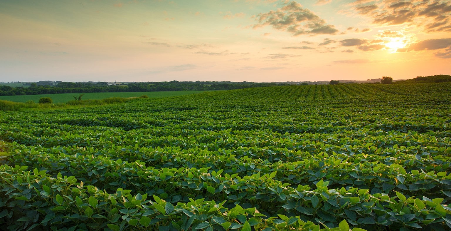 Mosaic нашел себе нового партнера
