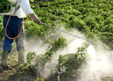 Выпуск пестицидов в России активно растет