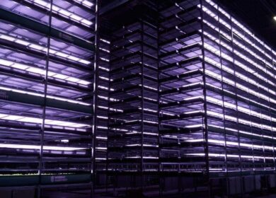 В Дании открылась гигантская вертикальная ферма