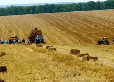 В Молдове снизят НДС для агрохимикатов
