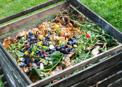 В Малайзии создали новые биоудобрения