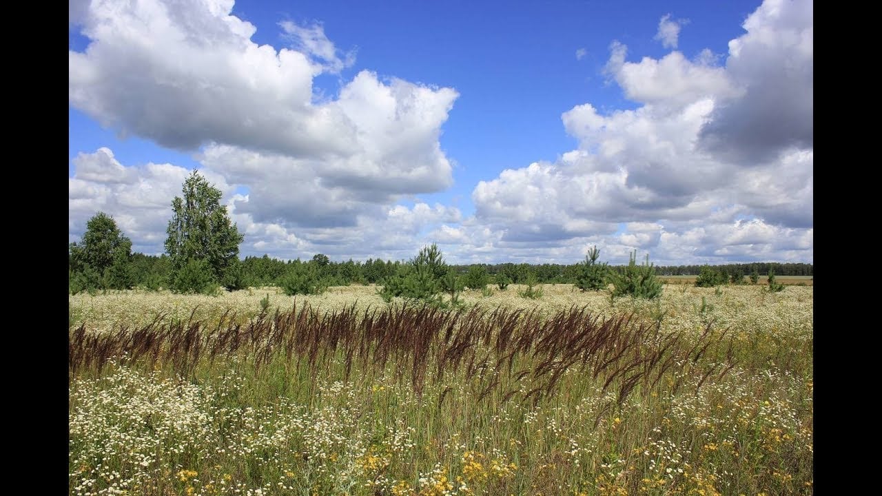 На Дальнем Востоке выявлено почти 3,4 млн. га неиспользуемых земель