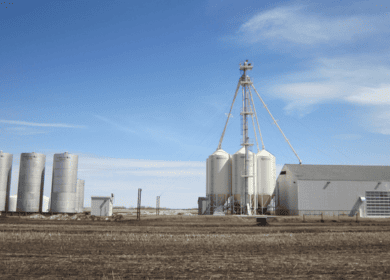 Cronus Chemicals не отказывается от трудного проекта