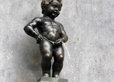 Ученые оценили эффективность переработки мочи в удобрения