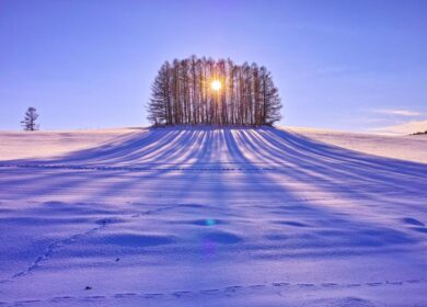 В Башкортостане запасаются агрохимикатами