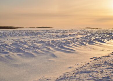В Рязанской области готовятся к весеннему севу