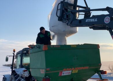 В Крыму началась подкормка озимых культур