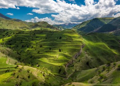 В Дагестане хотят расширить внесение органических удобрений