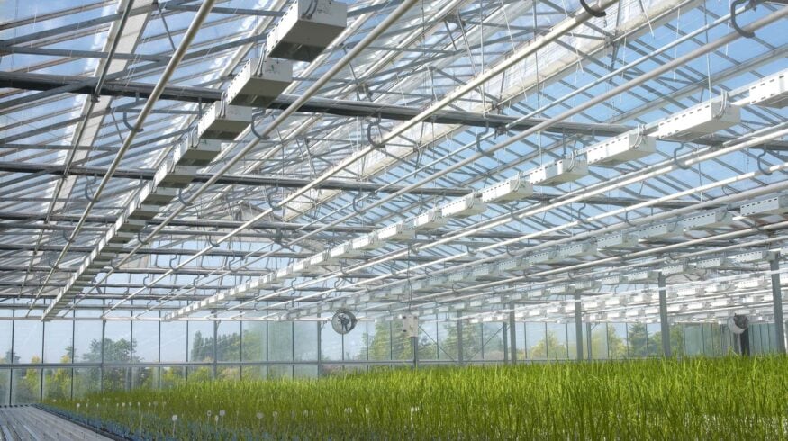 BASF избавляется от CropDesign