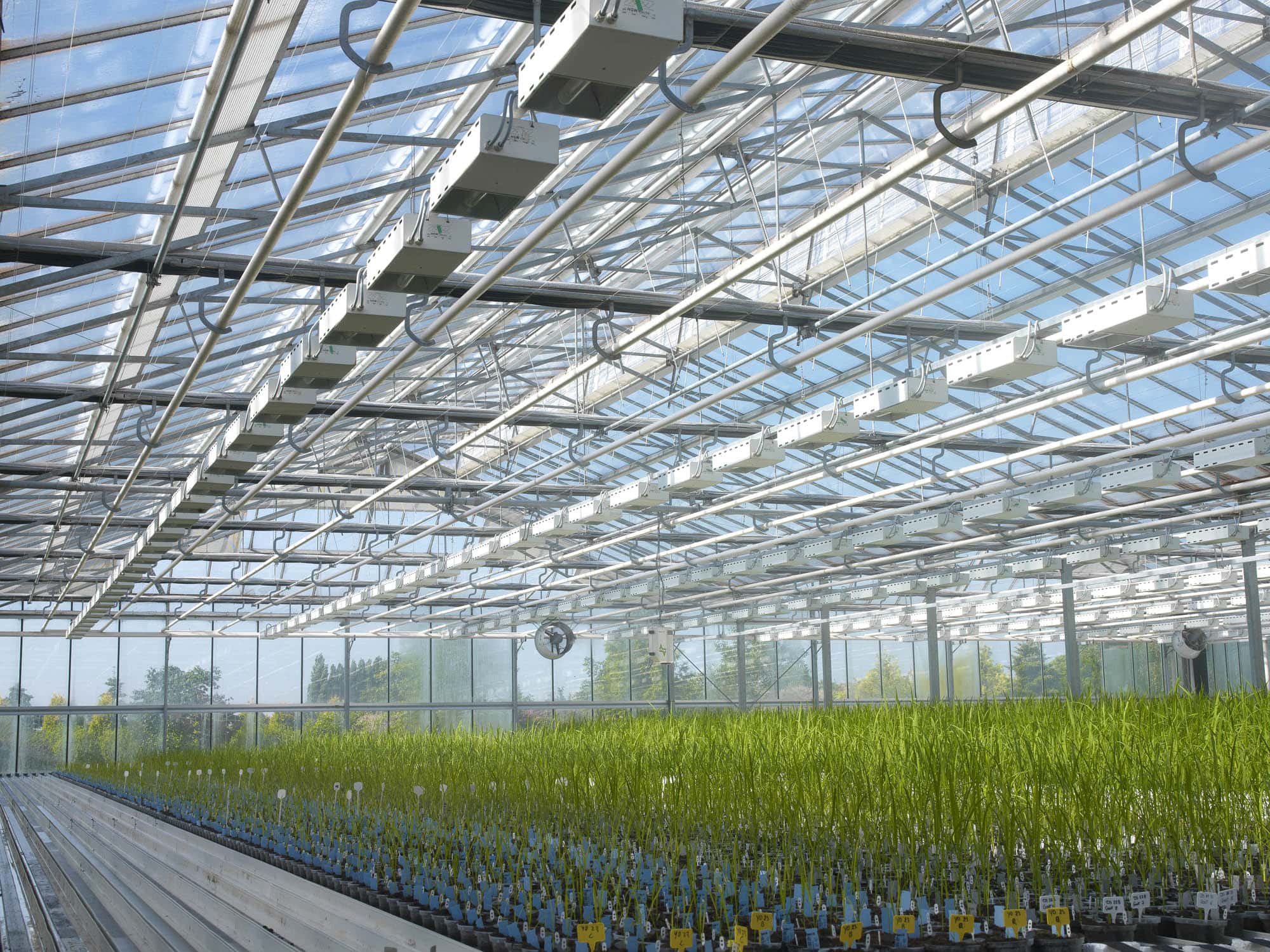 BASF избавляется от CropDesign