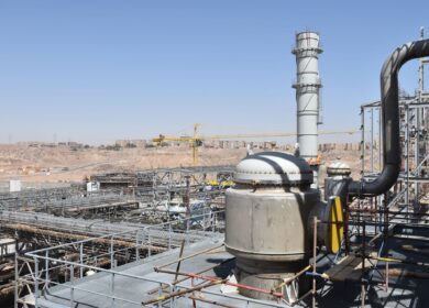 Egyptian Financial and Industrial изучает возможности диверсификации