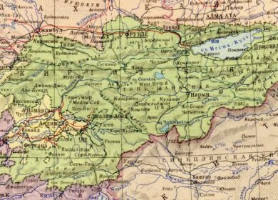 Кыргызстан может закупить агрохимикаты в Узбекистане