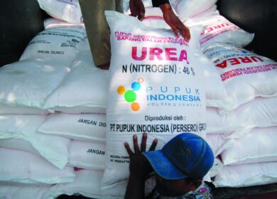 Pupuk Indonesia довела свою производительность до рекорда