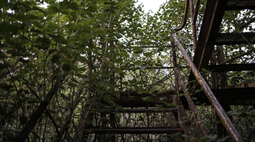 В Индии печально завершился перспективный проект