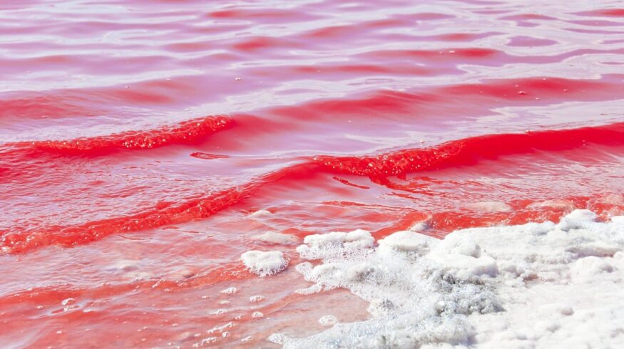 Salt Lake Potash выпустит первый сульфат калия в марте