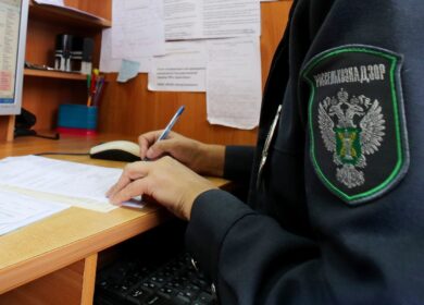 Россельхознадзор вернул себе старую функцию