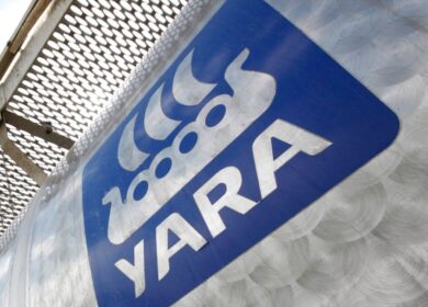 Yara рассталась с LiFeCo