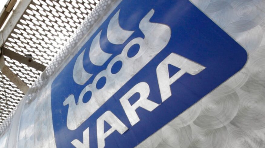 Yara рассталась с LiFeCo