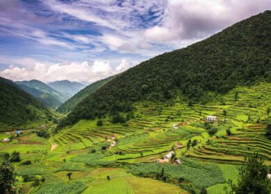 Непал получит от Бангладеша 50 тыс. тонн карбамида