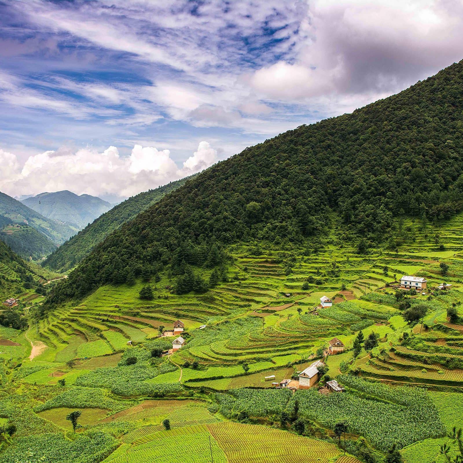 Непал получит от Бангладеша 50 тыс. тонн карбамида