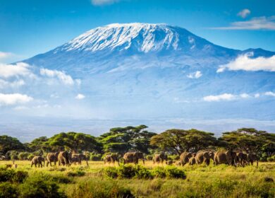 В Танзании тормозится строительство огромного завода