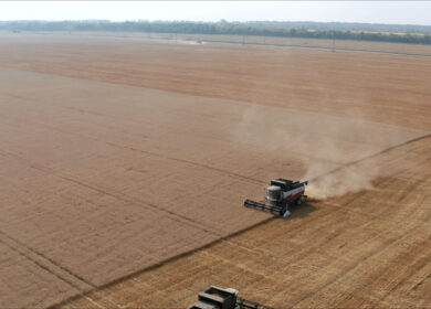В Башкортостане приступили к закупкам агрохимикатов