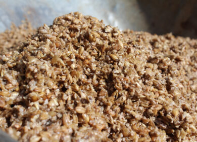 В США создали удобрение из пивных отходов