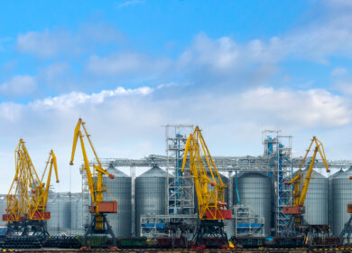 Одесский припортовый завод наращивает отгрузки на родной рынок