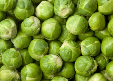 Брюссельская капуста: выращивание на огороде