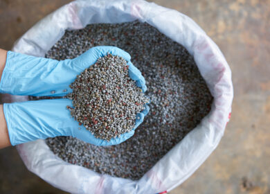 Выпуск азотных удобрений в России перемахнул за 11 млн. тонн