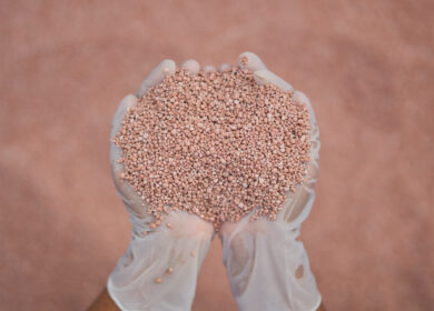 Производство фосфорных удобрений в России заметно приподнялось