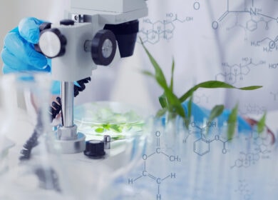 Ученые создали систему мониторинга стресса растений