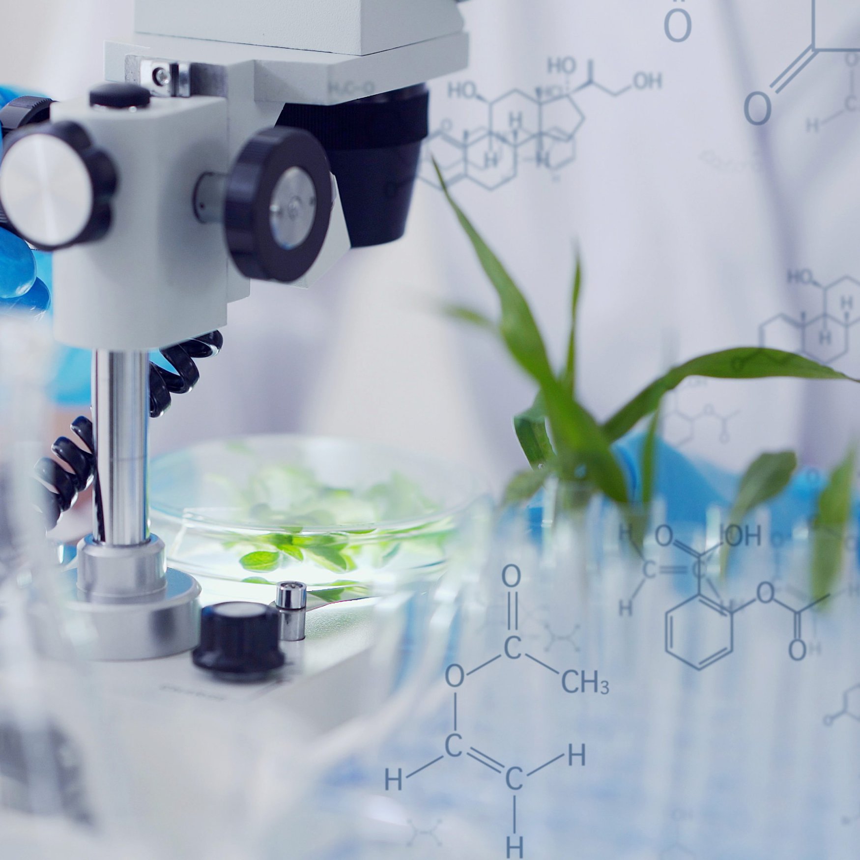 Ученые создали систему мониторинга стресса растений