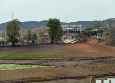КНДР страдает от кислотности почв