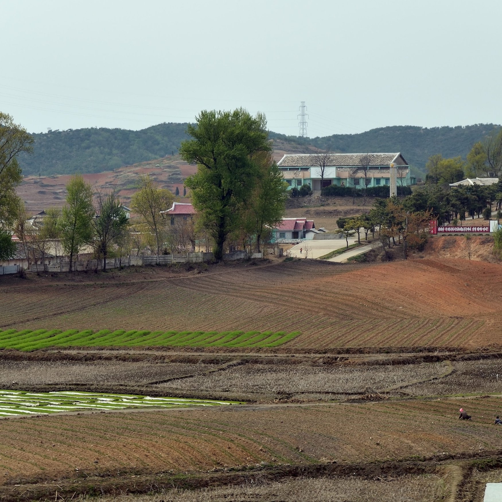 КНДР страдает от кислотности почв