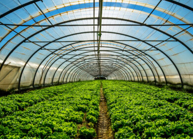 В США построят Agriculture Technology Campus