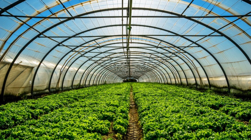 В США построят Agriculture Technology Campus