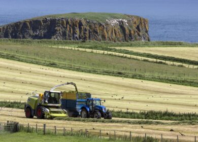 В Ирландии подорожают агрохимикаты