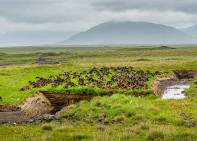 Ирландия озаботилась защитой торфяных почв